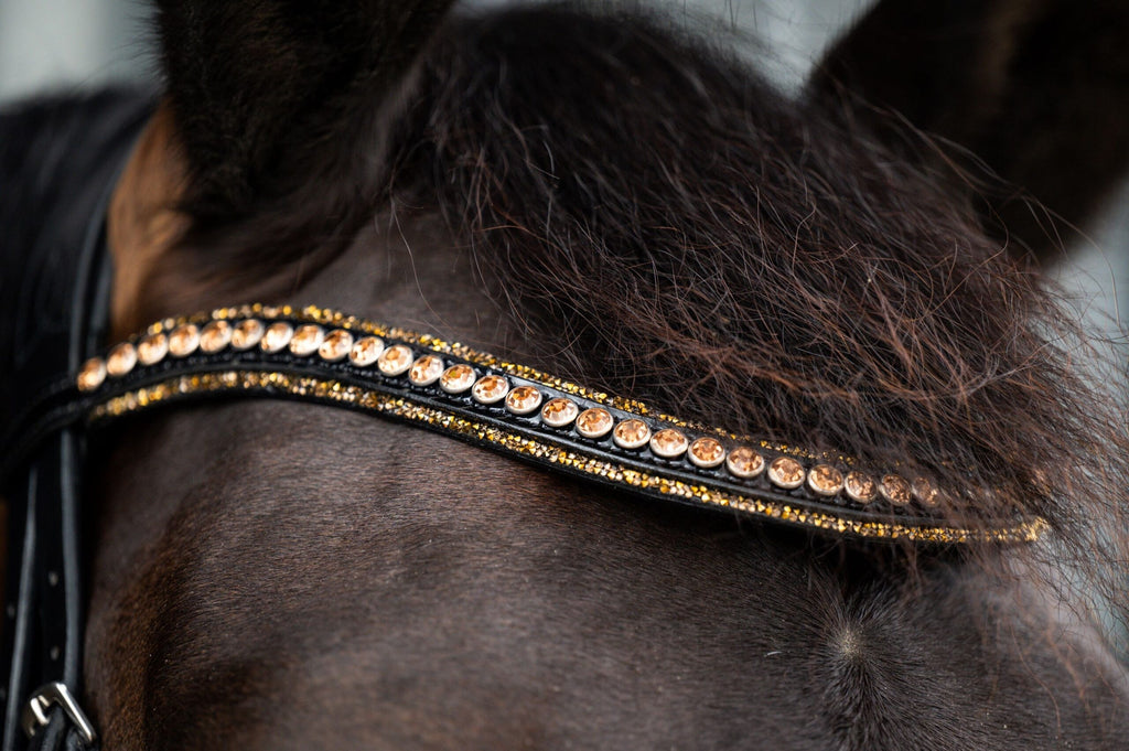 HB Showtime Golden Dreams valjad