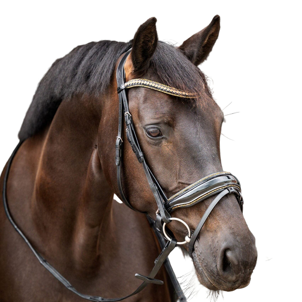 HB Showtime Golden Dreams valjad