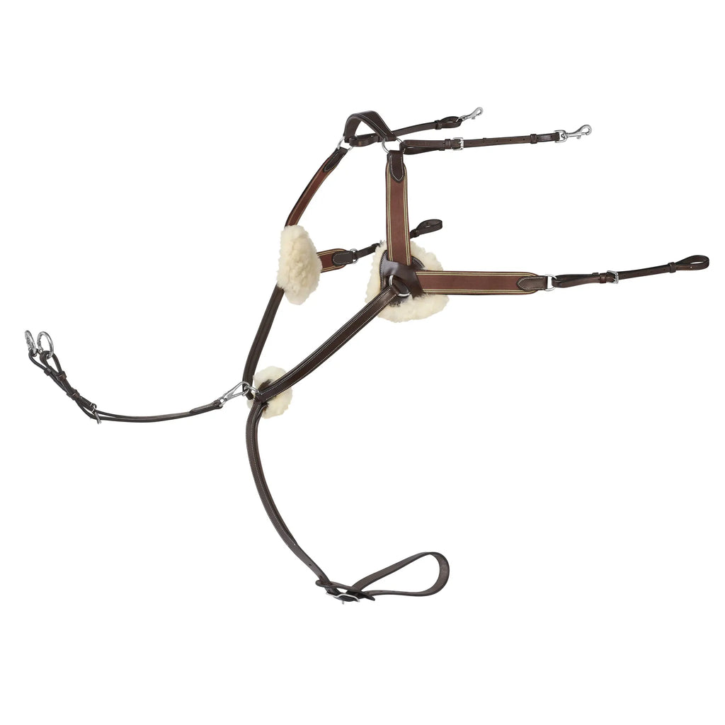 Prestige 5-punkti rinnarihm