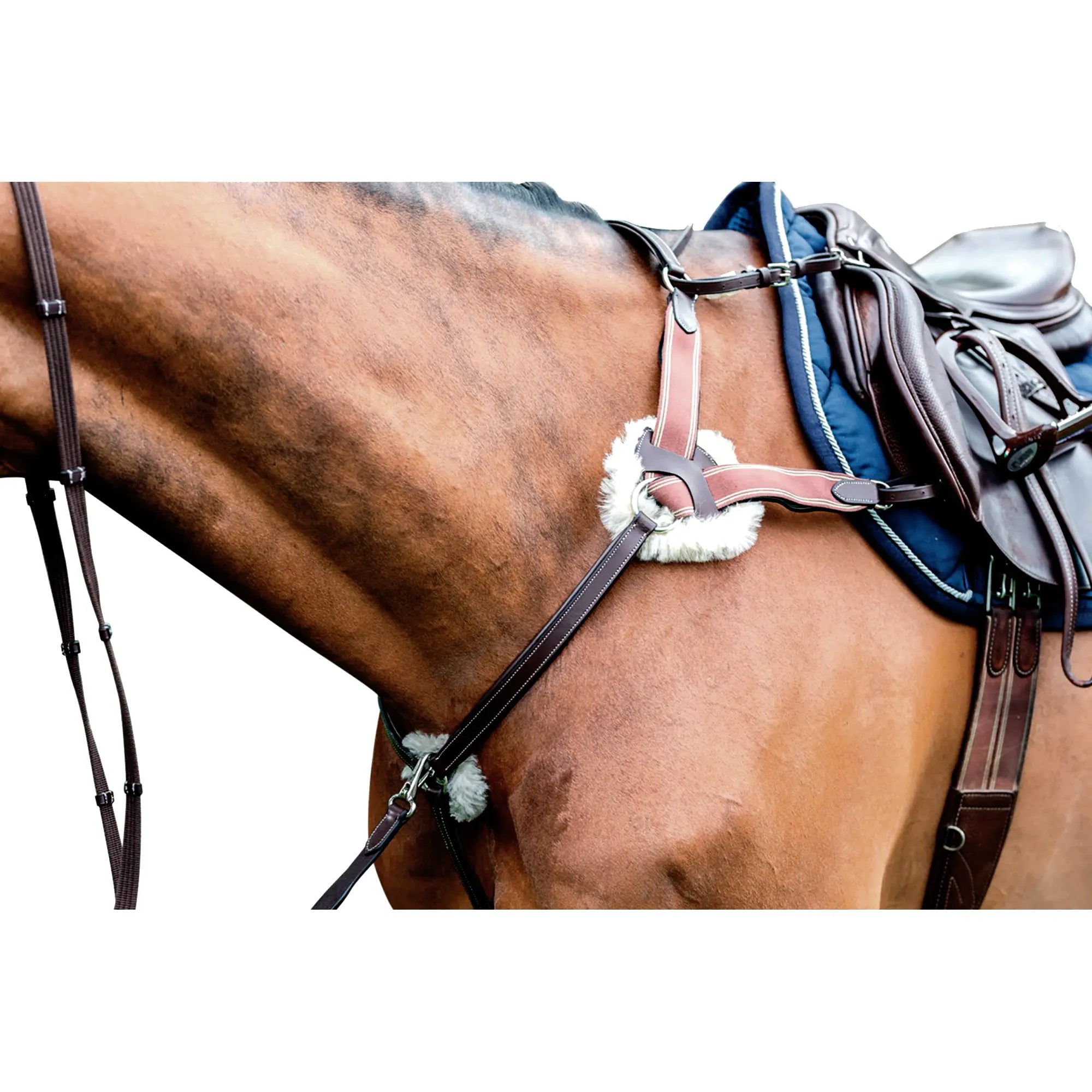 Prestige 5-punkti rinnarihm