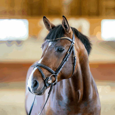 Nathe Mullen Mouth bit 20 mm pulksuuline