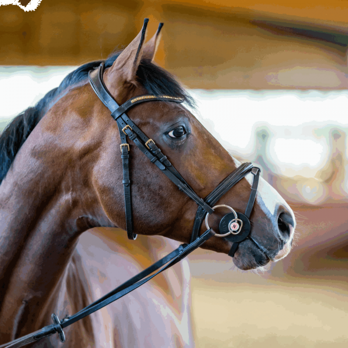 Nathe Mullen Mouth bit 20 mm pulksuuline