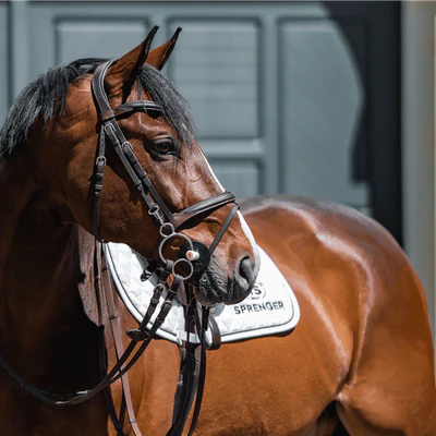 Nathe Mullen Mouth bit 20 mm GAG pulksuuline