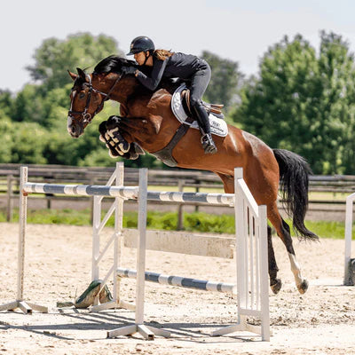 Nathe Mullen Mouth bit 20 mm GAG pulksuuline