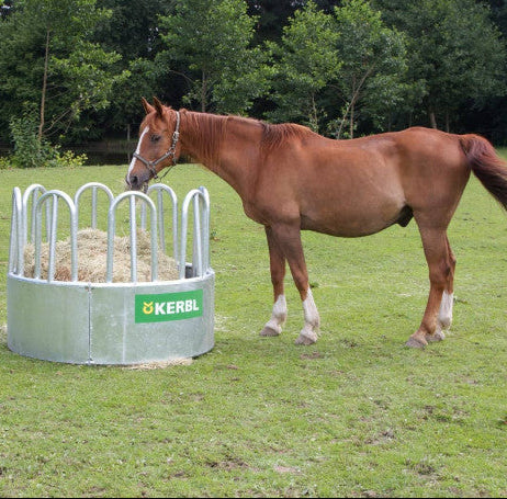 Söödarõngas - 8 kohta