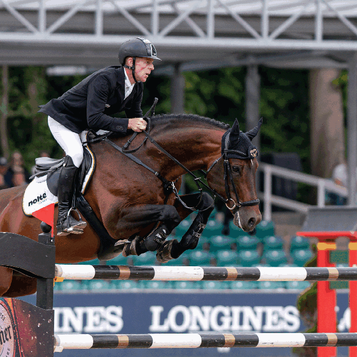 Sprenger System 4 jalused