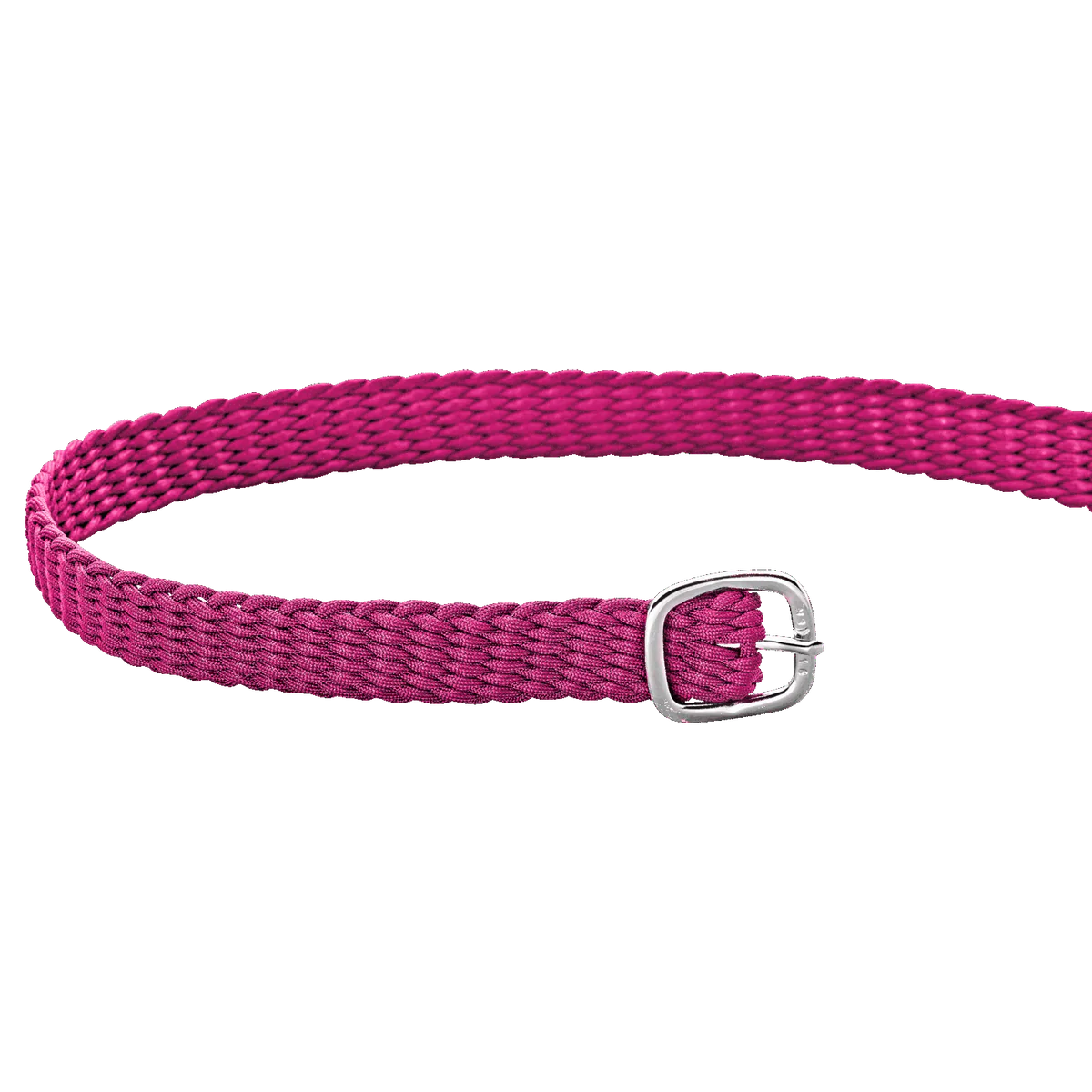 Sprenger kannuserihmad