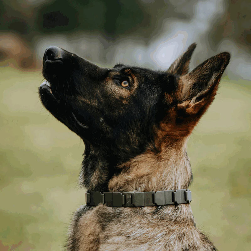 Sprenger NeckTech Fun with ClicLock – Stainless steel black matt