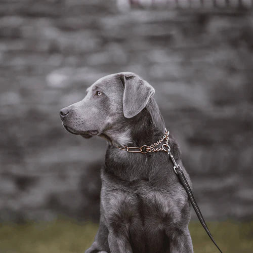 Sprenger kett long links - Stainless steel black, 3.0 mm