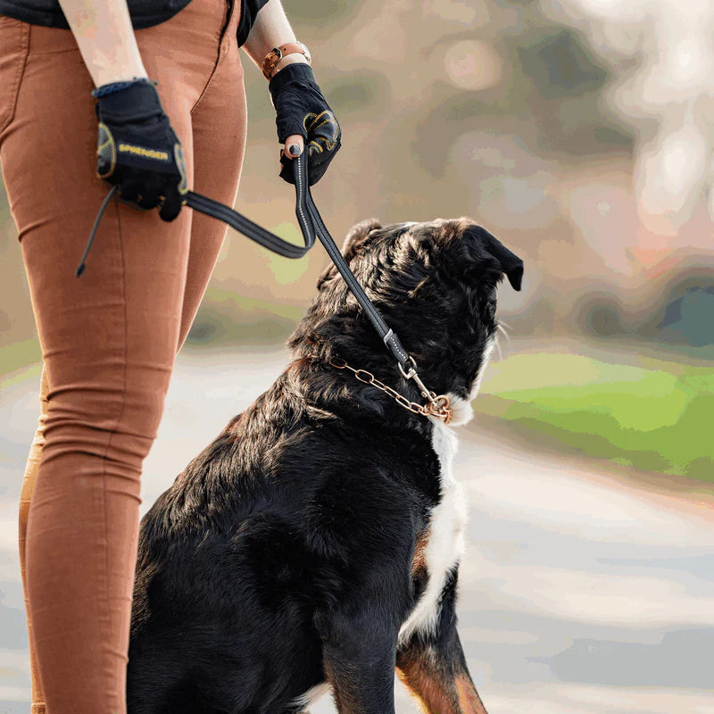 Sprenger kummeeritud treeningrihm 100 cm