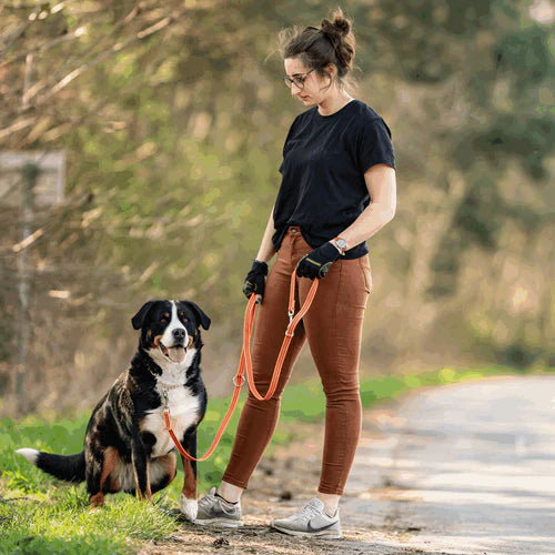 Sprenger kummeeritud multifunktsionaalne jalutusrihm 230 cm