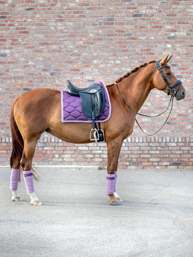 Dressage Signature valtrap- lilla