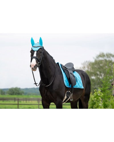 HB Showtime St Logo valtrap