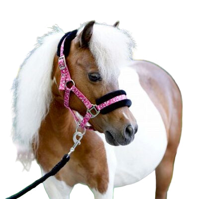 HB Sunny Flower päitsed - väike suurus