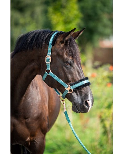 HB Showtime Pioneer päitsed + nöör komplekt