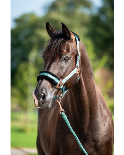 HB Showtime Pioneer päitsed + nöör komplekt