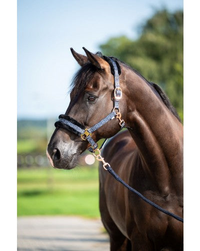 HB Showtime Pioneer päitsed + nöör komplekt