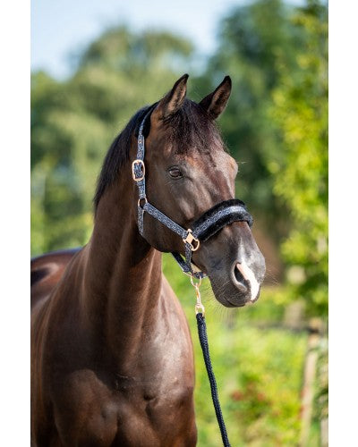 HB Showtime Pioneer päitsed + nöör komplekt