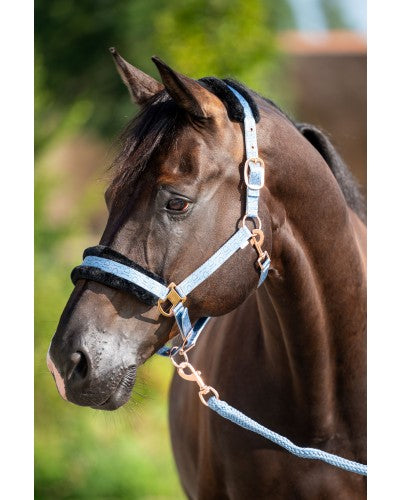 HB Showtime Pioneer päitsed + nöör komplekt