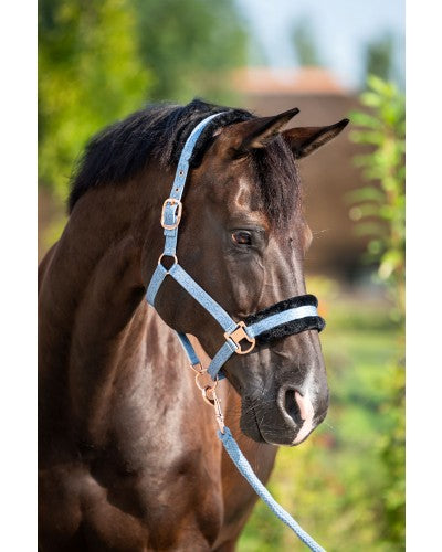 HB Showtime Pioneer päitsed + nöör komplekt