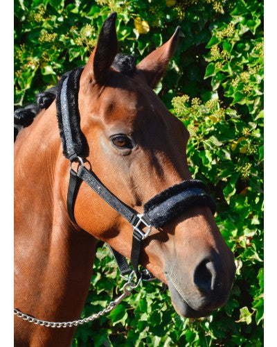 HB Showtime sädelevad päitsed karvaga