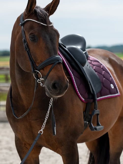 Dressage Signature valtrap