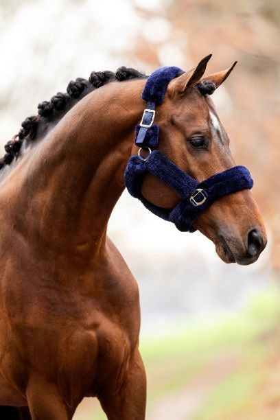 HB Showtime päitsed - Allround Teddy