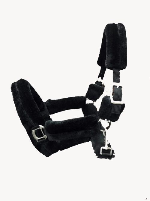 HB Showtime päitsed - Allround Teddy