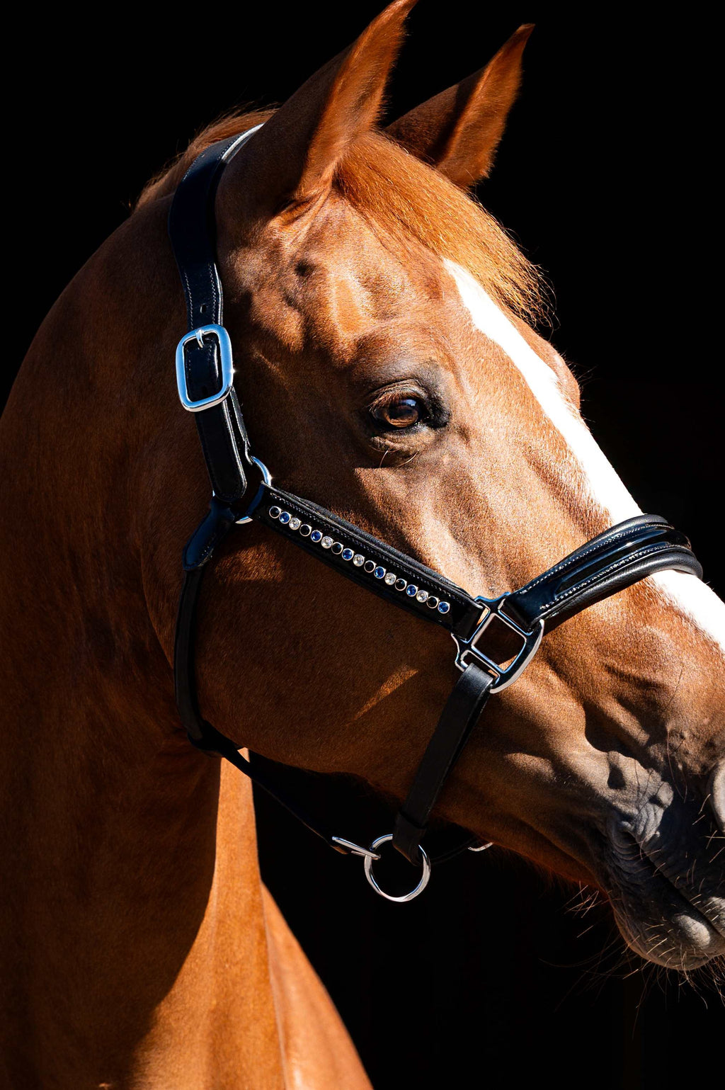 HB Showtime nahast päitsed Rivet Swarovski