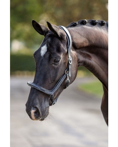 HB Showtime nahast päitsed eemaldatava lambakarvaga