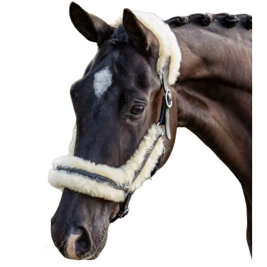 HB Showtime nahast päitsed eemaldatava lambakarvaga