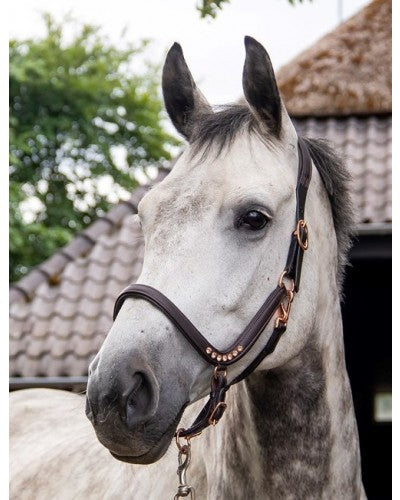 HB Showtime Anatomic Rose Gold nahast päitsed