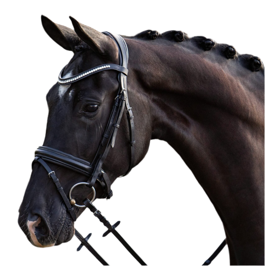 HB Showtime Stars valjad