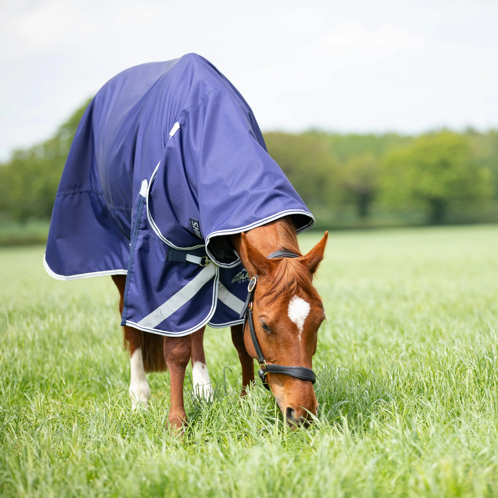 Highlander original Combo Lite 0g