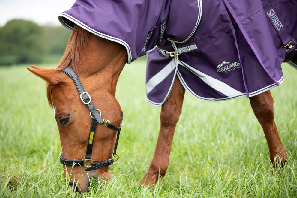 Highlander original Neck Set 100g