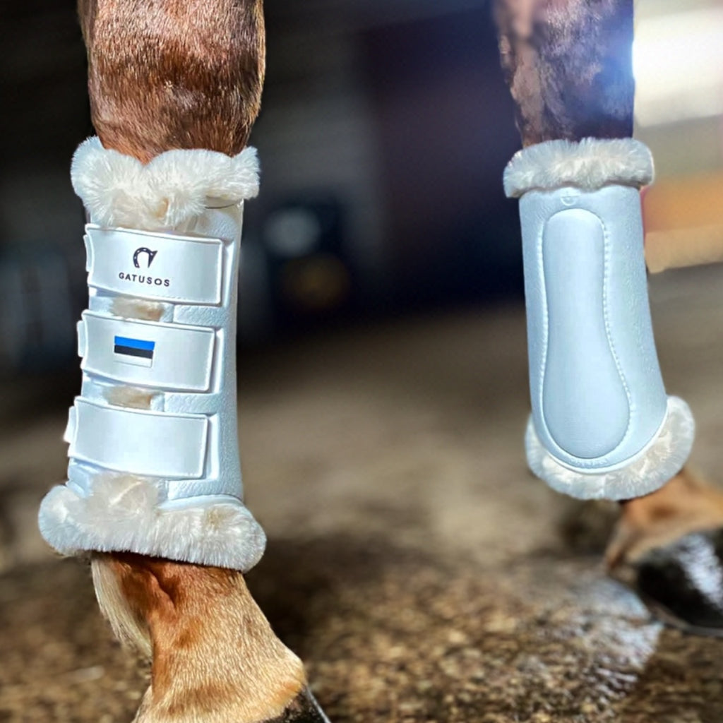 Gatusos Royal Dressage kaitsmed ette