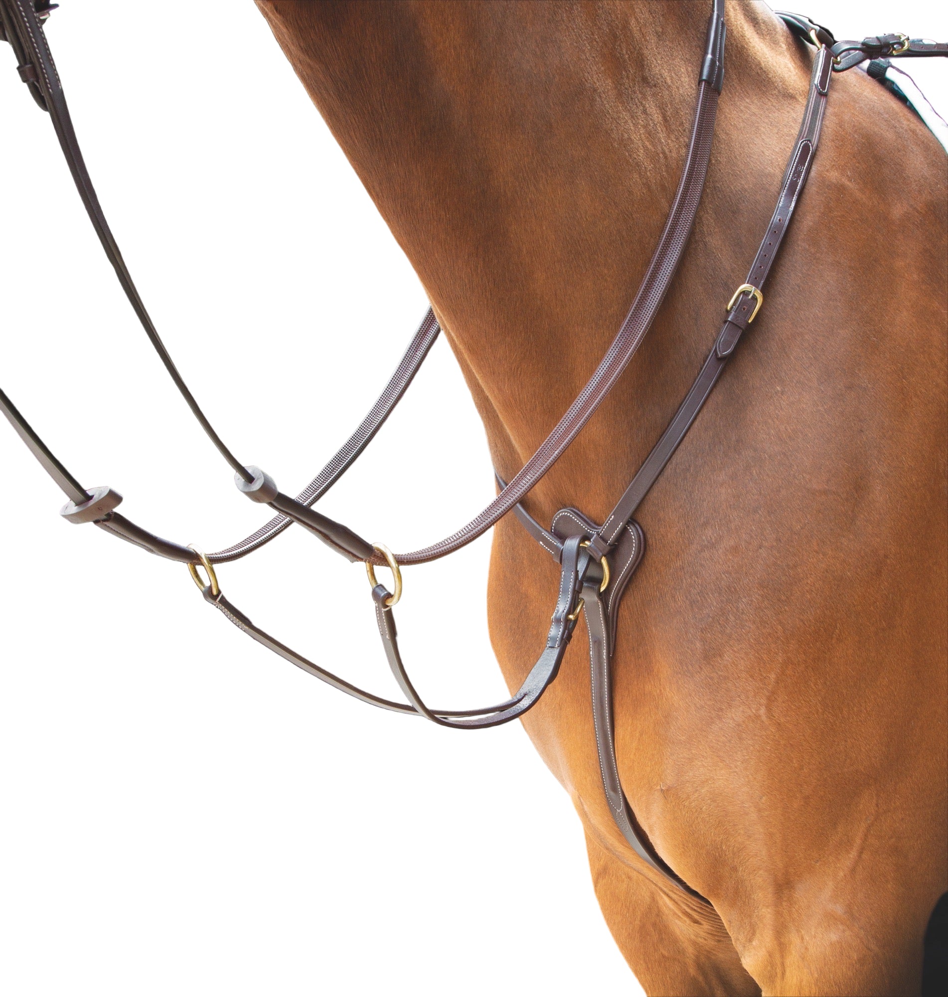 Salisbury 3-punkti kinnitusega rinnarihm martingal