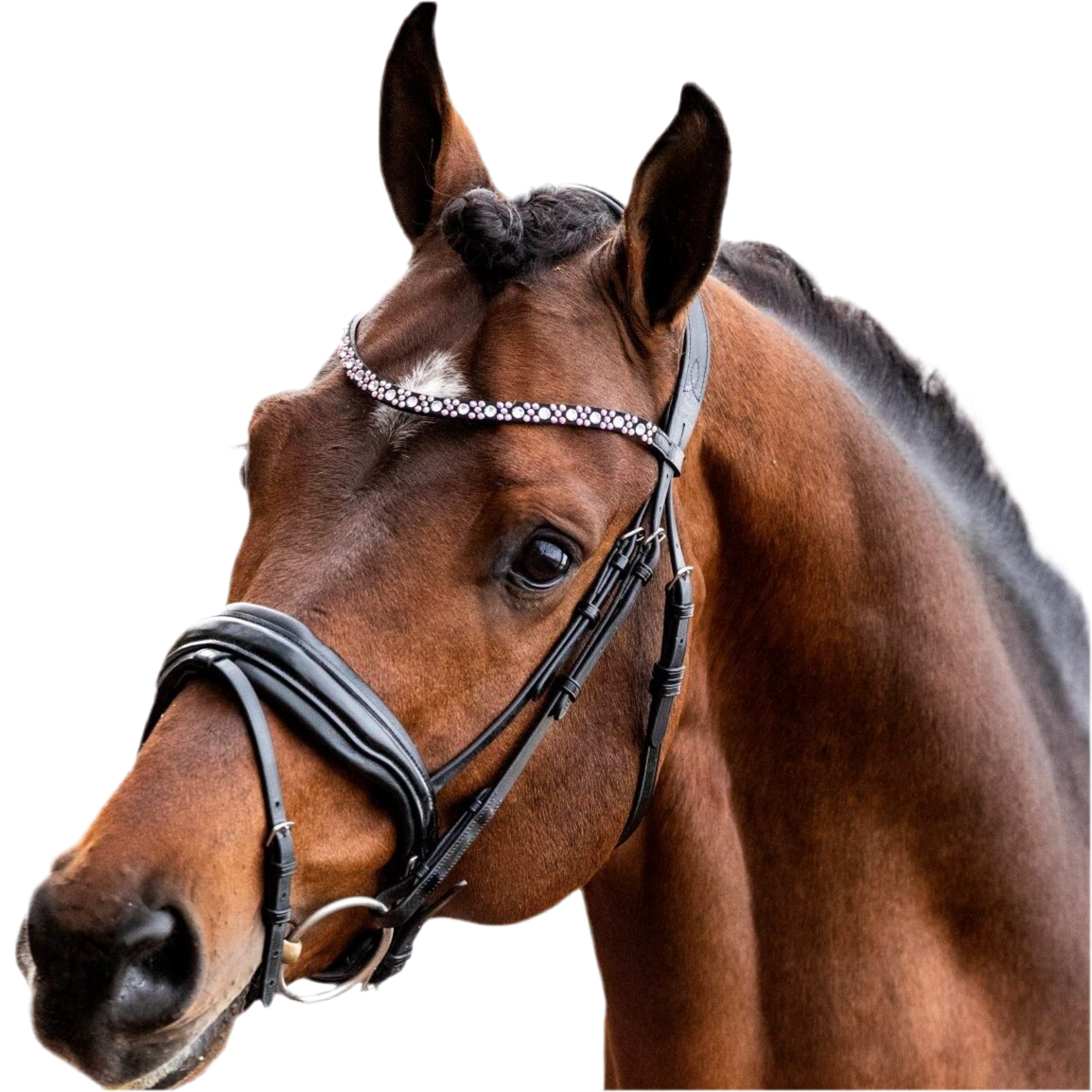 HB Shotime Great Love valjad