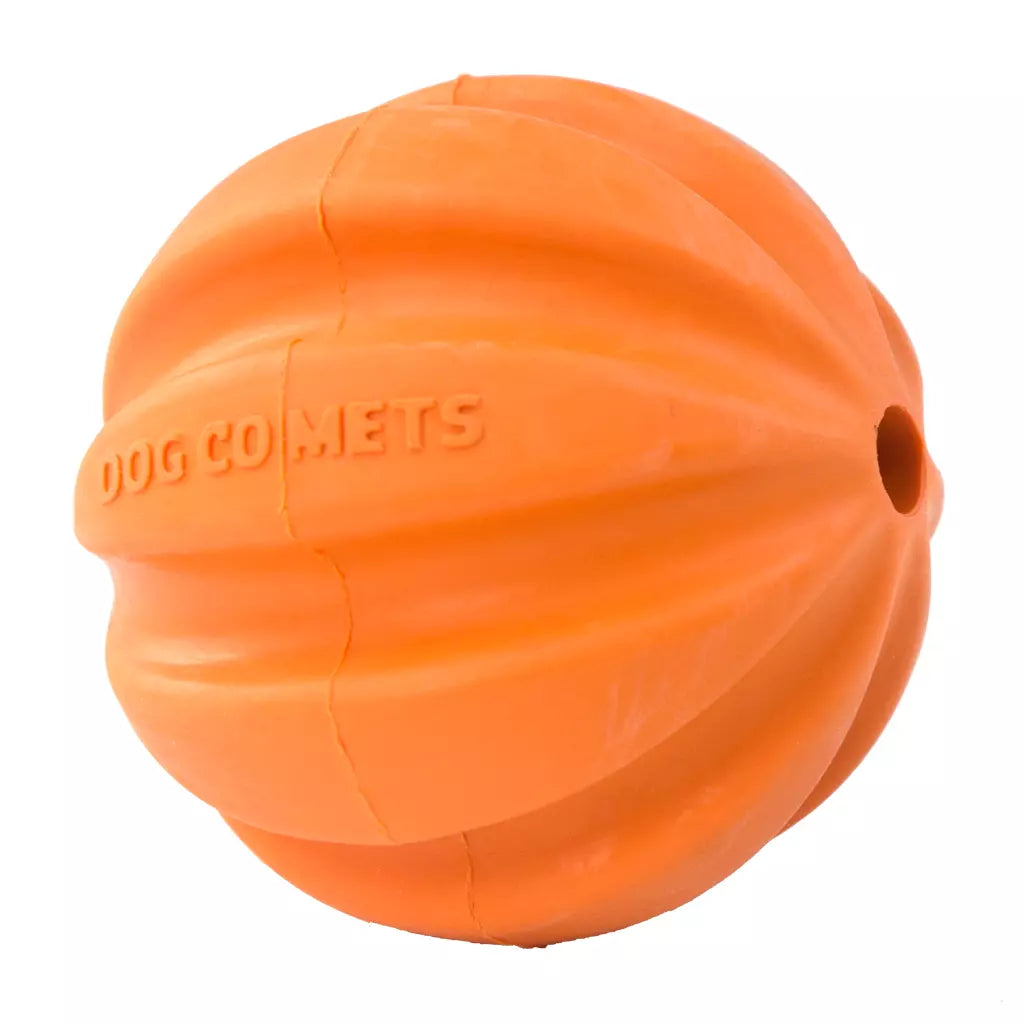 Dog Comets treeningpall nööriga