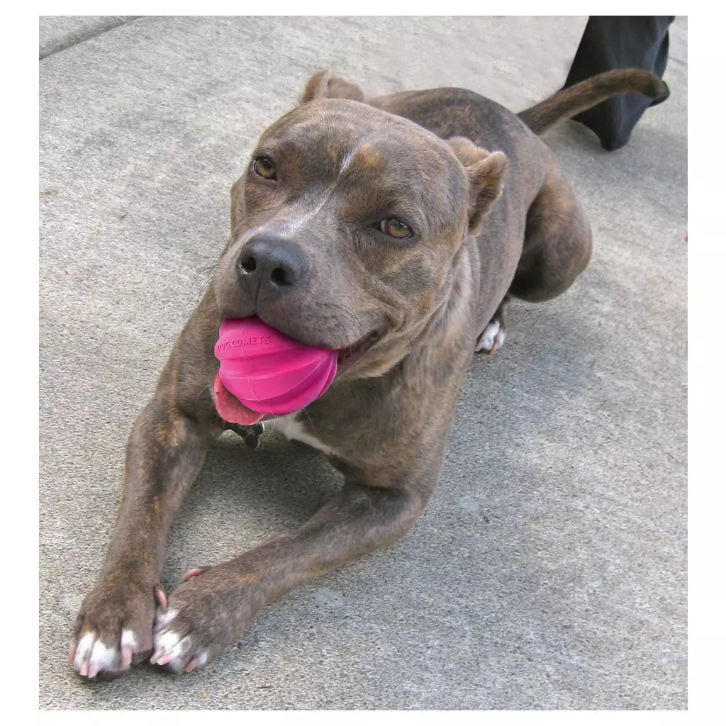 Dog Comets treeningpall nööriga