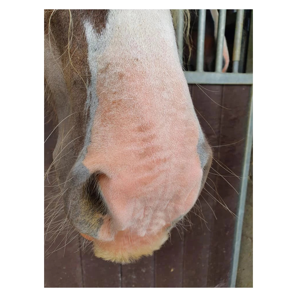 Excellent Horse Equi Sunblock SPF 30 150gr päikesekreem