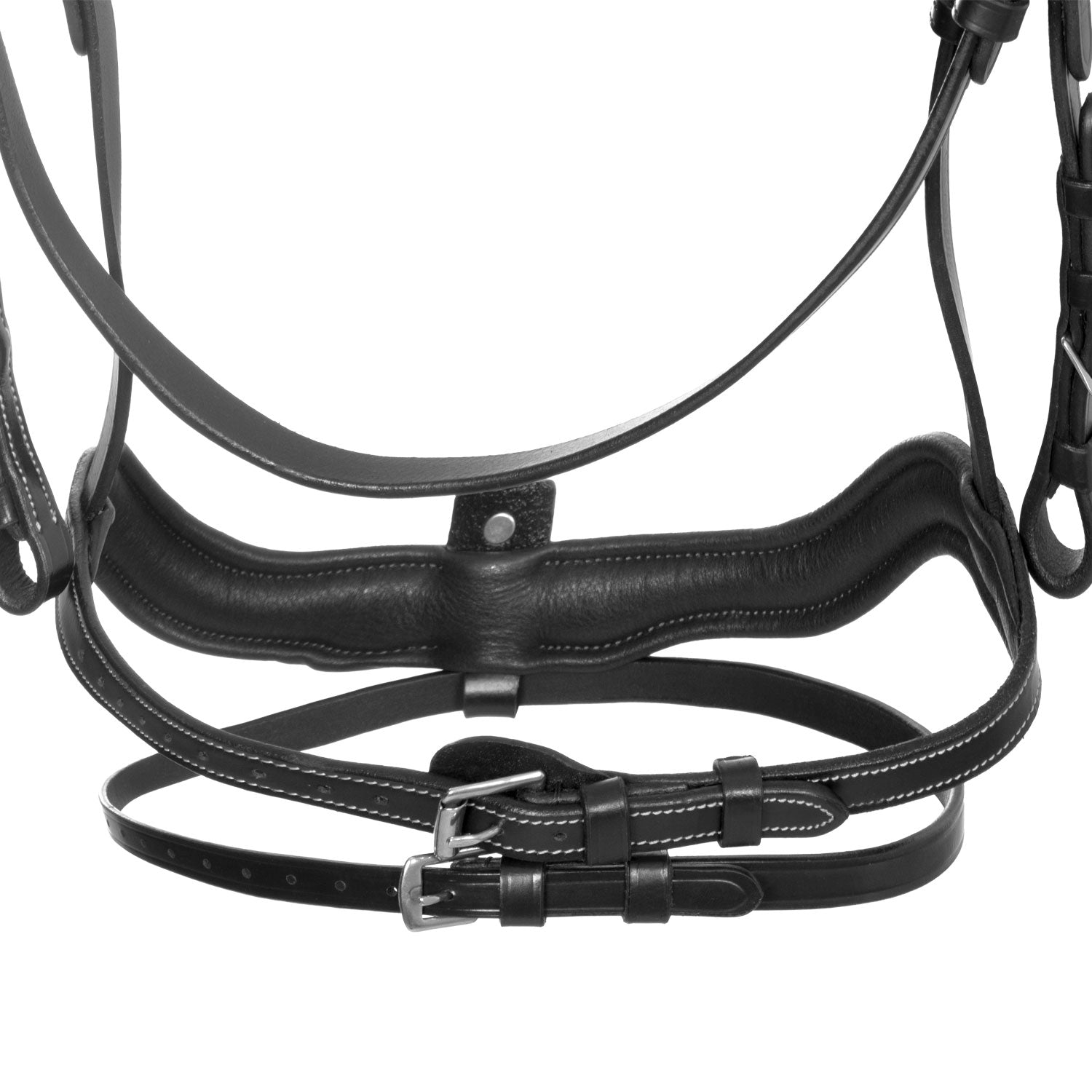 Equestro anatoomilised valjad