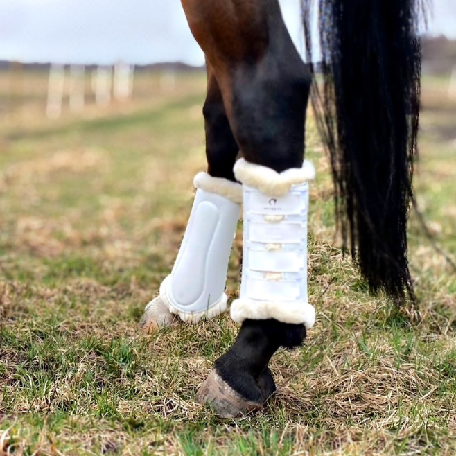 Gatusos Royal Dressage kaitsmed taha