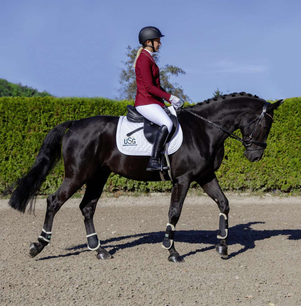 USG Liv ratsapüksid