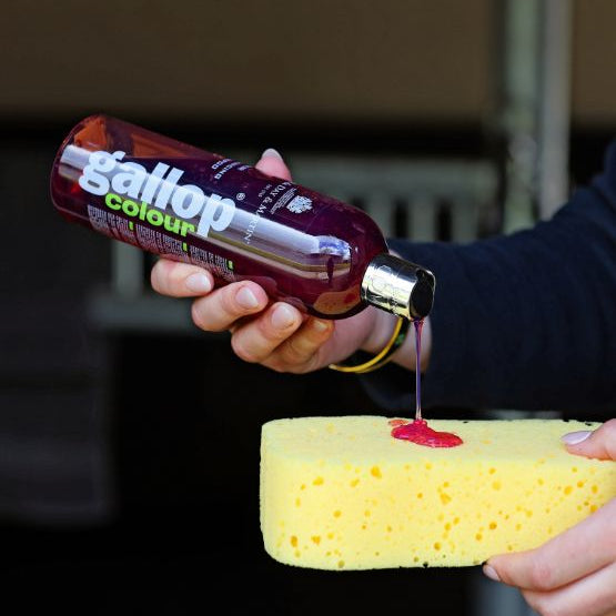 Carr&Day&Martin Gallop šampoon 500 ml - pruunile