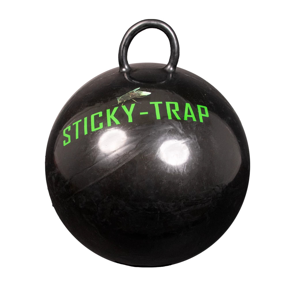 Sticky Trap Horsefly pall-putukapüünis