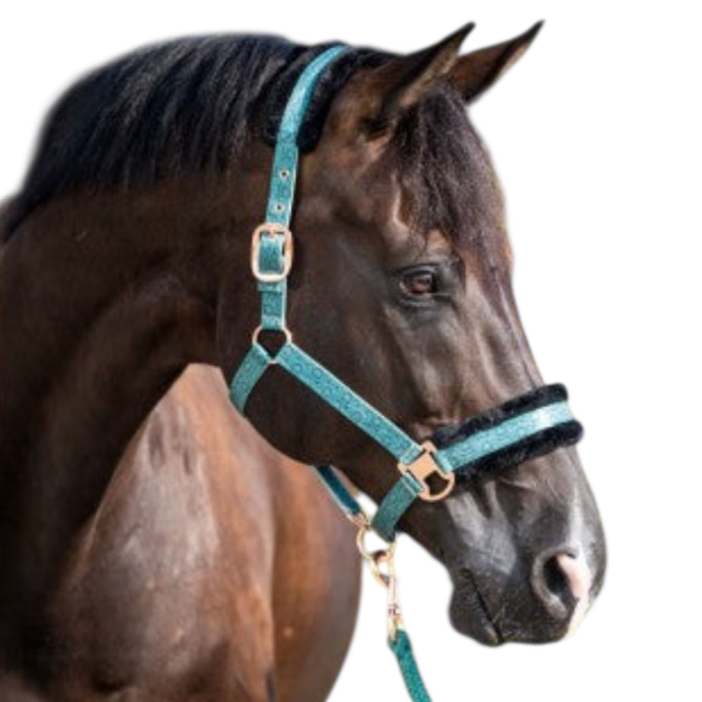 HB Showtime Pioneer päitsed + nöör komplekt