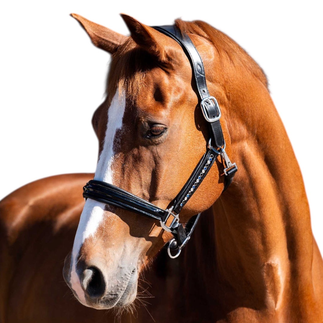 HB Showtime nahast päitsed Rivet Swarovski