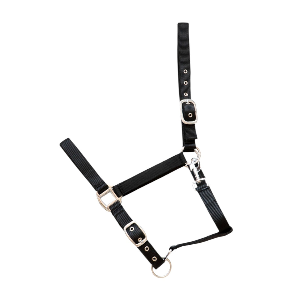 HB Showtime päitsed