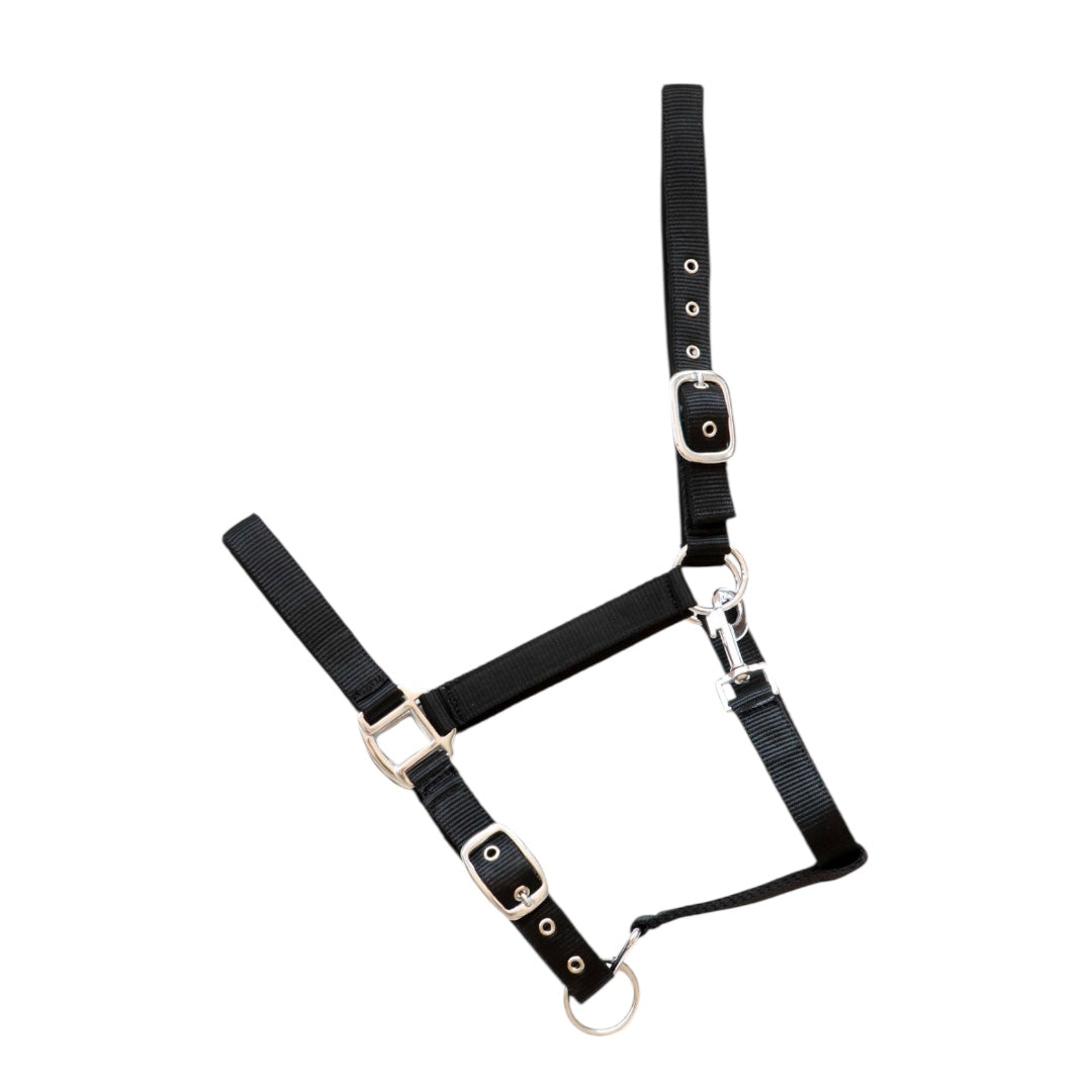 HB Showtime päitsed